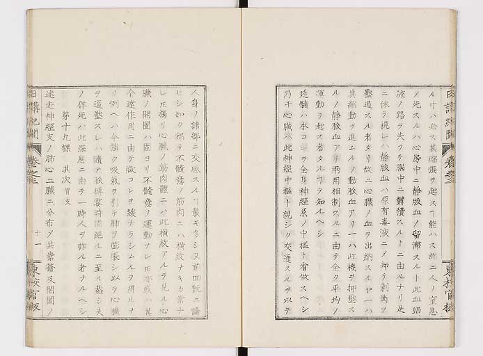K0106s0051