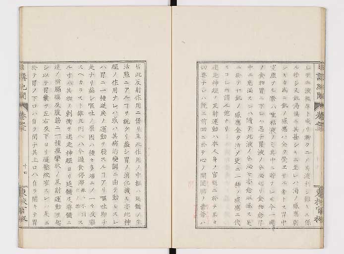K0106s0054