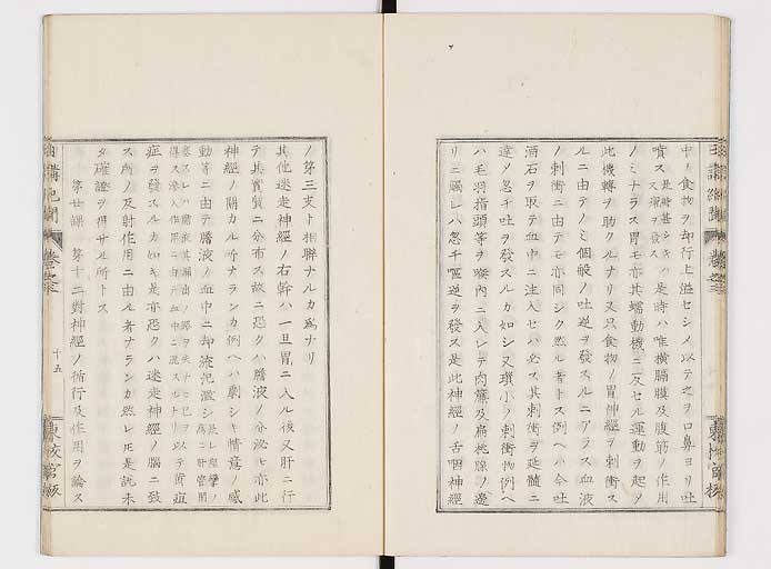 K0106s0055