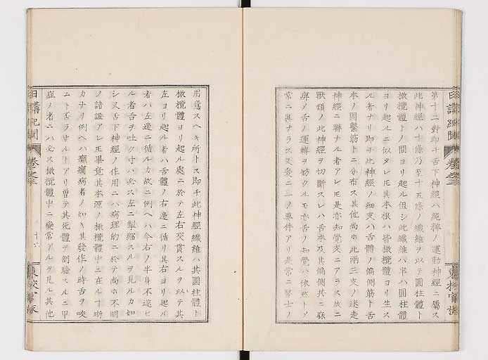 K0106s0056
