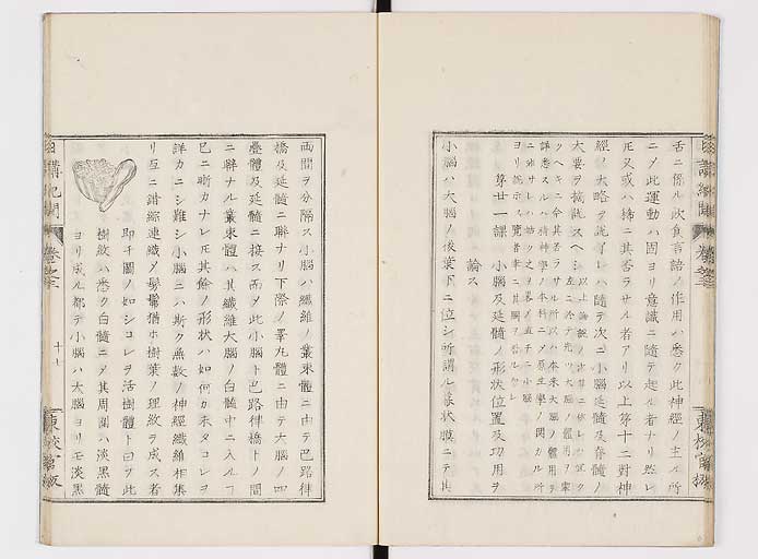 K0106s0057