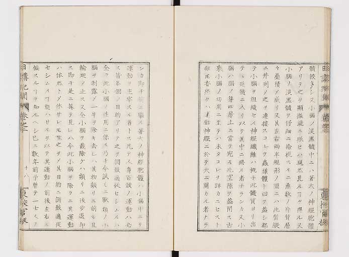 K0106s0058