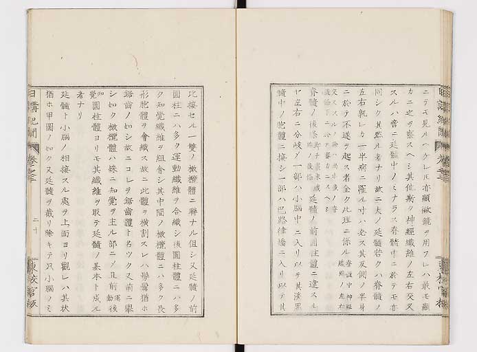 K0106s0060
