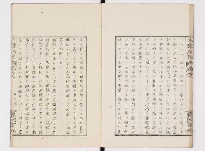 K0106s0063