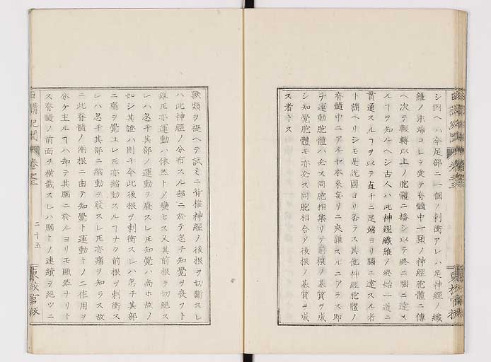 K0106s0065