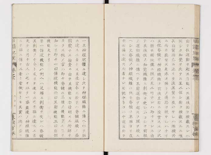 K0106s0066