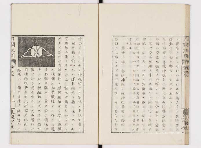 K0106s0069