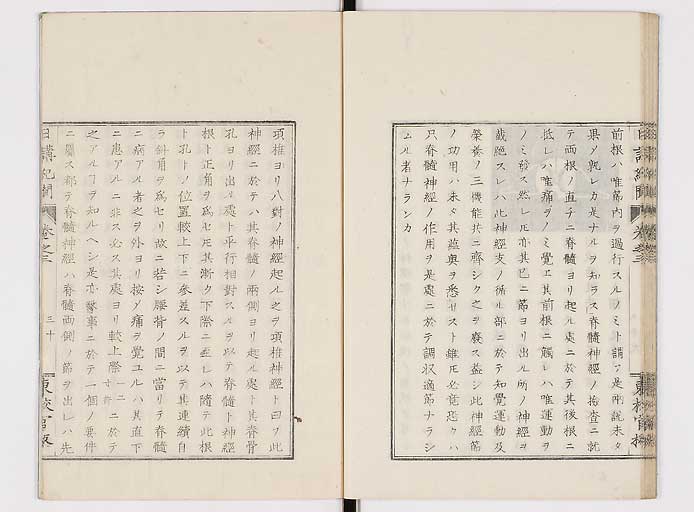 K0106s0070