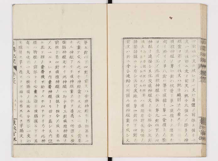 K0106s0071