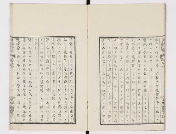 K0107s0005