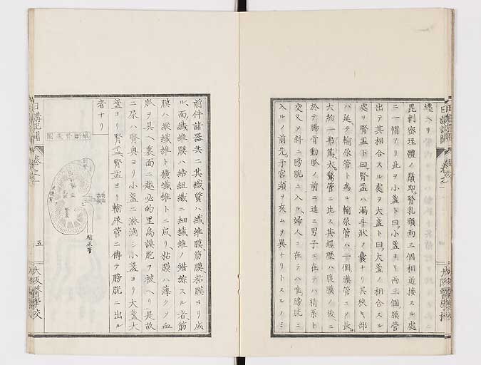 K0107s0008