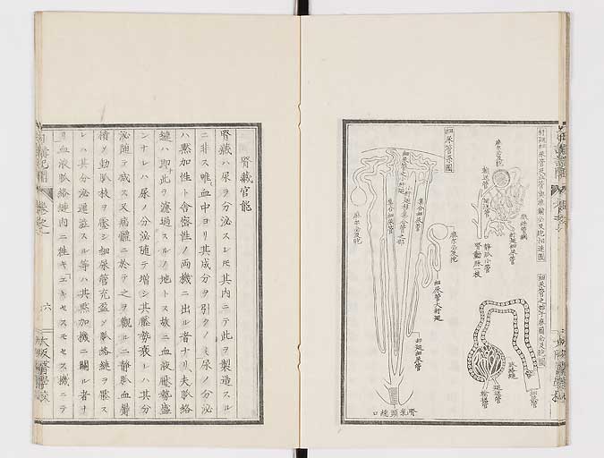 K0107s0009