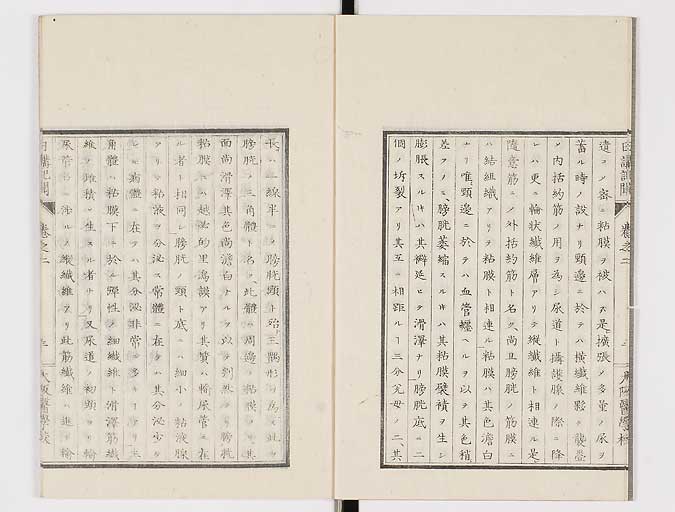 K0107s0037