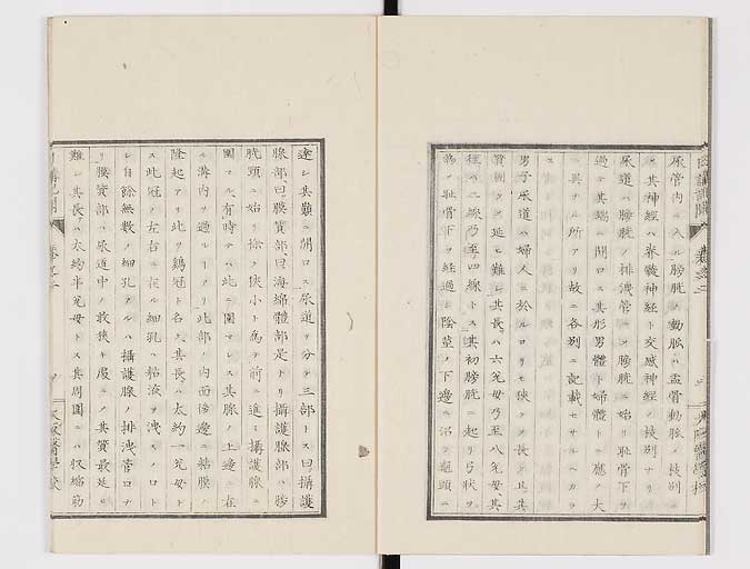 K0107s0038
