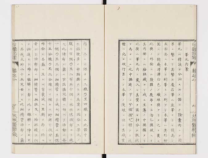 K0107s0041