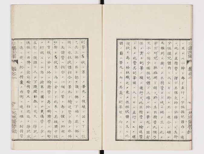 K0107s0042