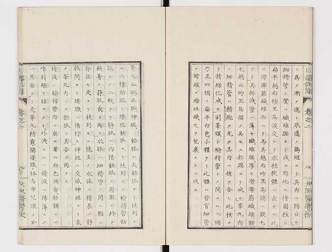 K0107s0043