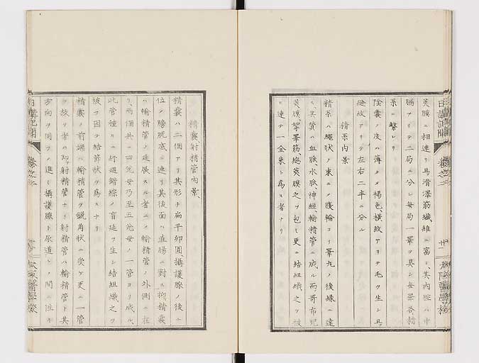 K0107s0046