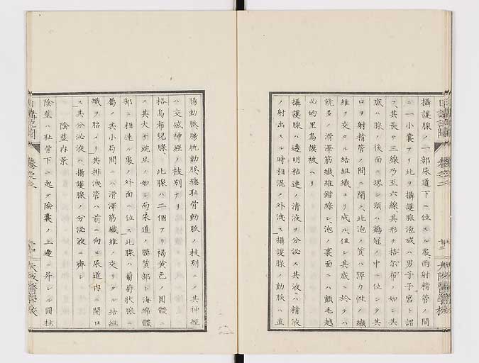K0107s0048