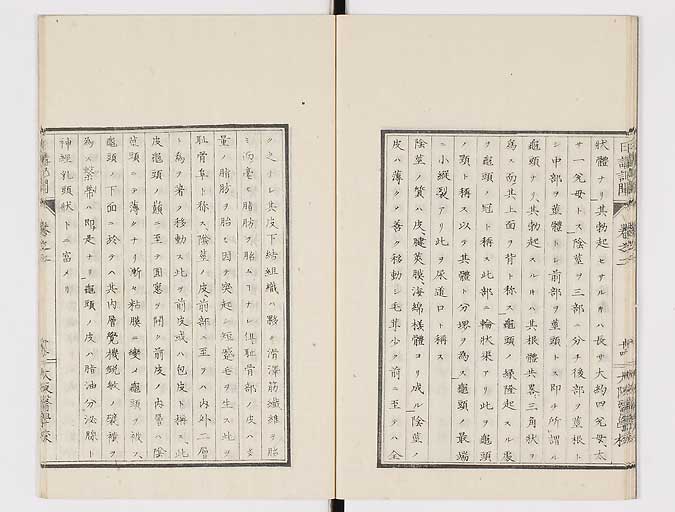 K0107s0049