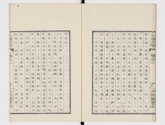 K0107s0050