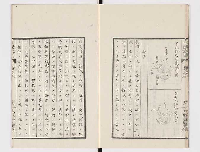 K0107s0052