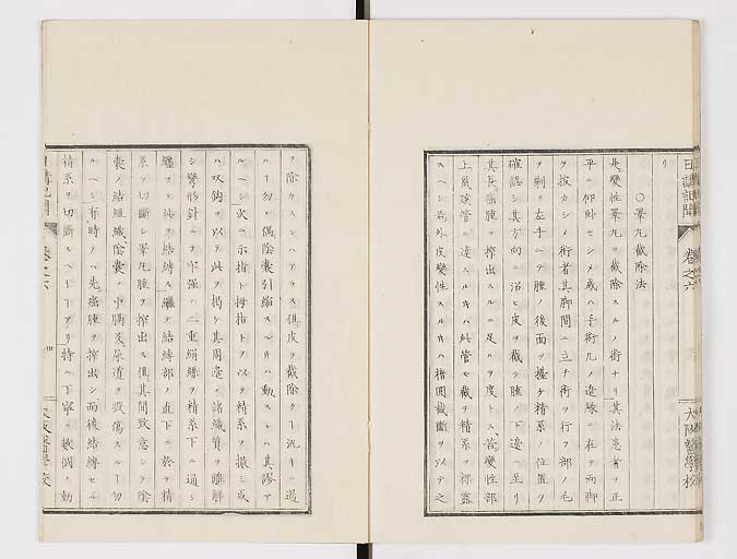K0107s0199
