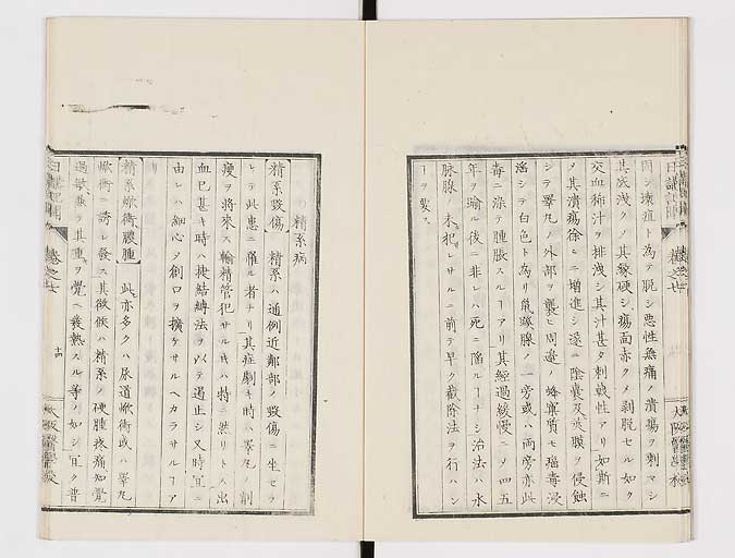 K0107s0217