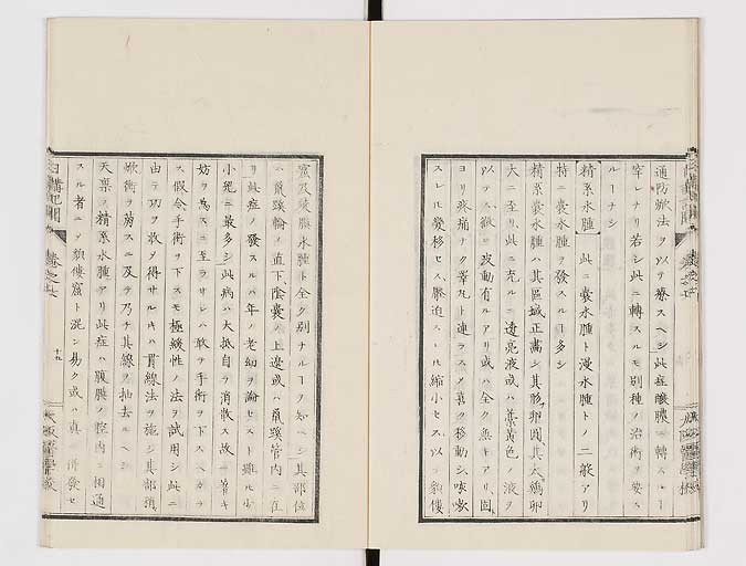 K0107s0218