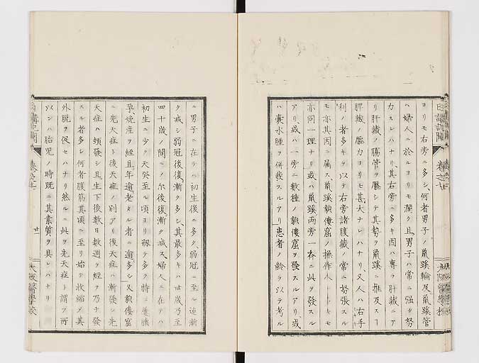 K0107s0224