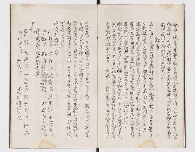 K0108s0007