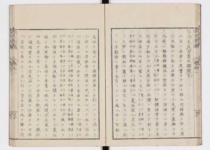 K0114s0025