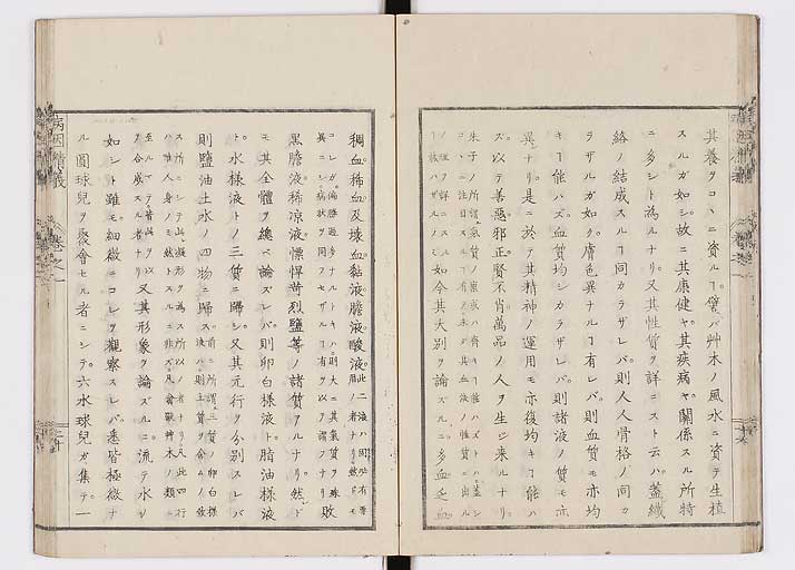 K0114s0026