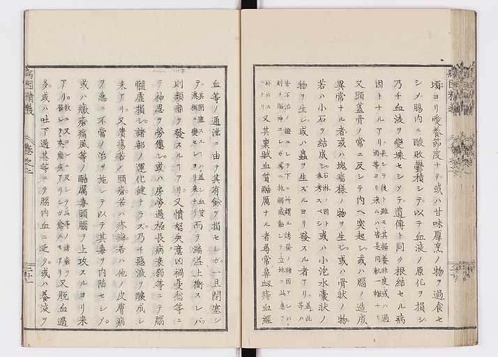 K0114s0059