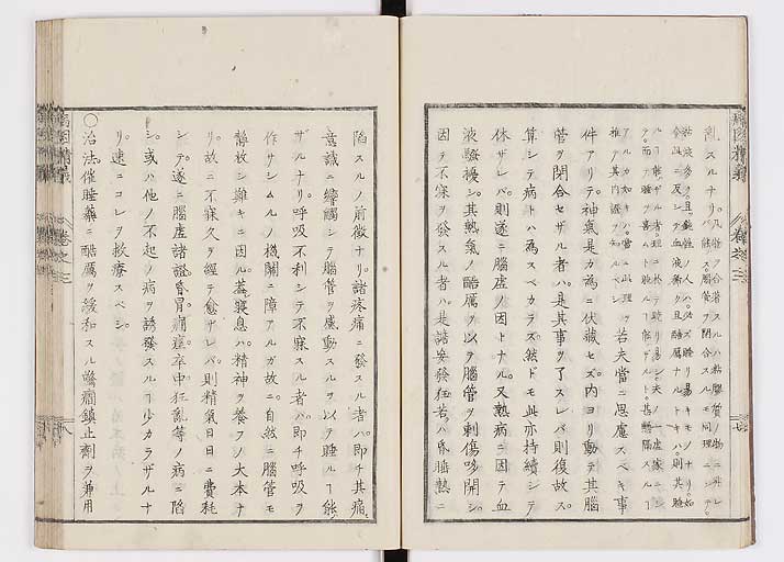 K0114s0081