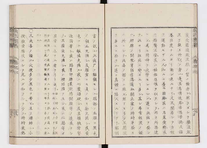 K0114s0089