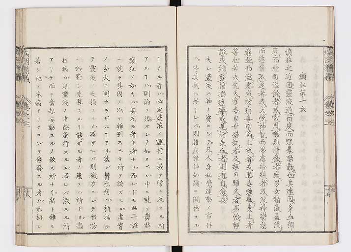 K0114s0091