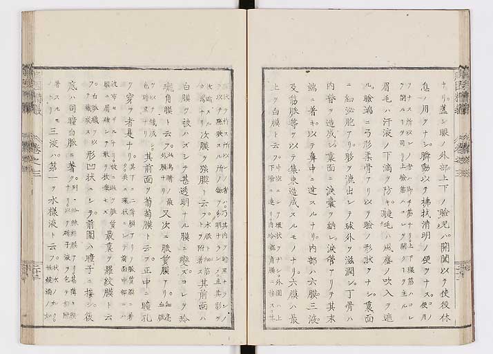 K0114s0096