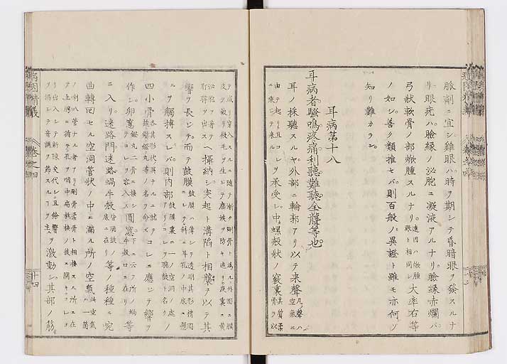K0114s0119
