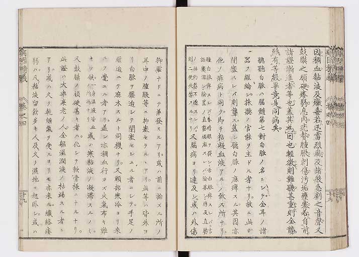 K0114s0124