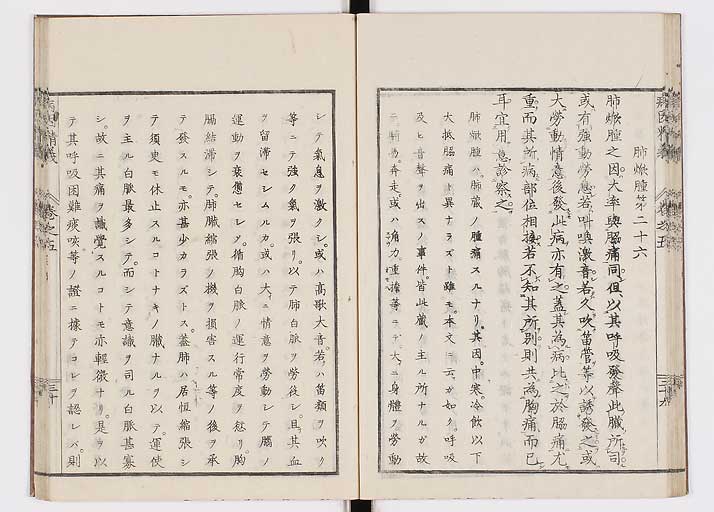 K0114s0175