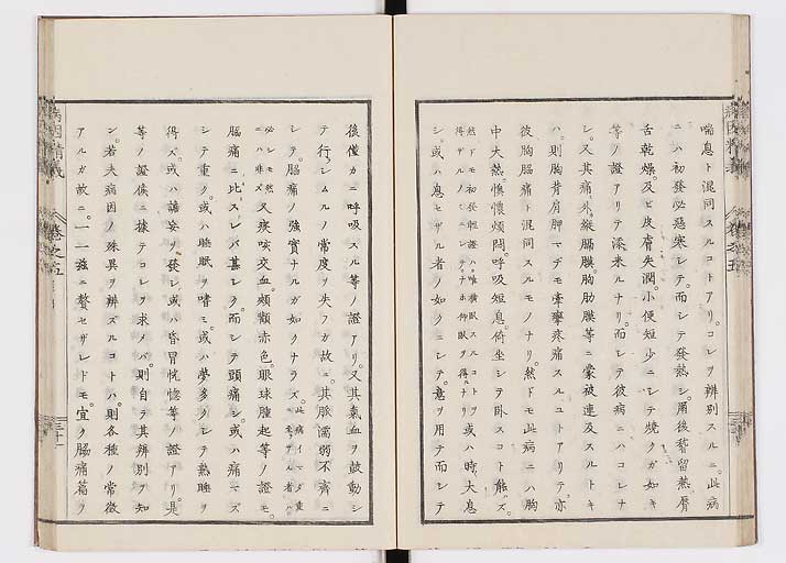 K0114s0176