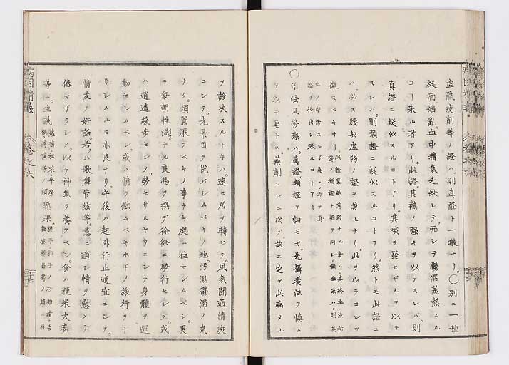 K0114s0197