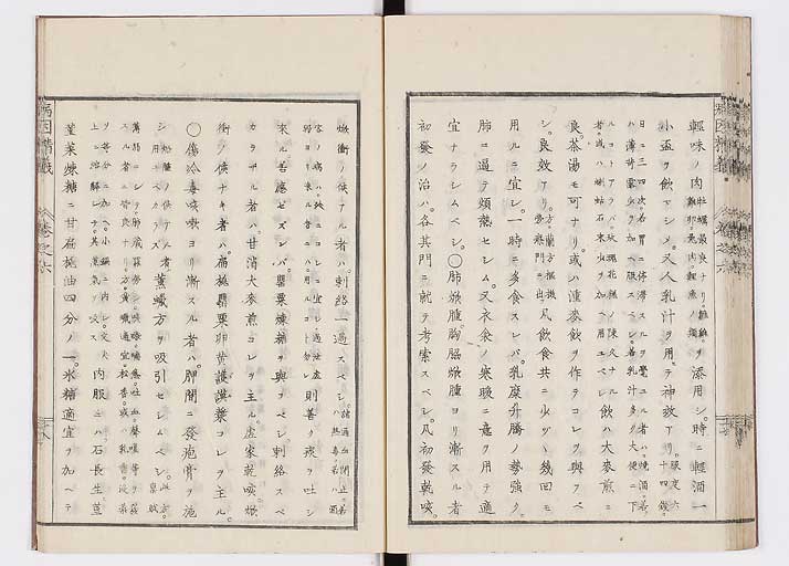 K0114s0198