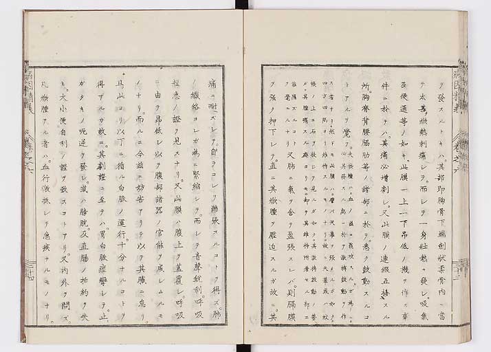 K0114s0204
