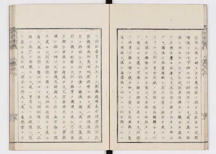 K0114s0236