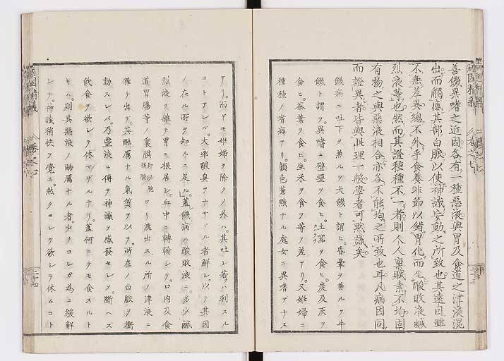 K0114s0241
