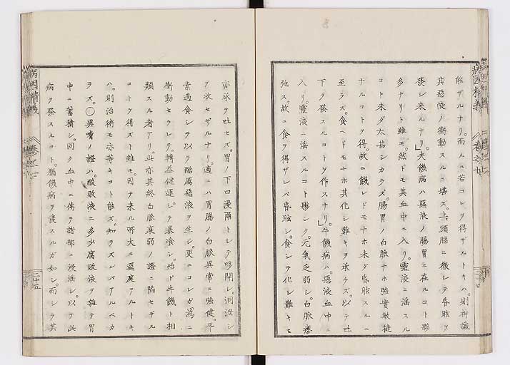 K0114s0242