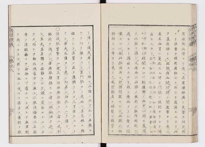 K0114s0261