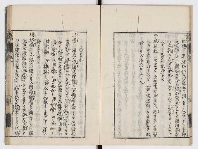 K0115s0046
